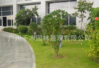 广州园林绿化工程设计施工